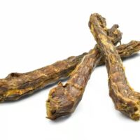 YDOLO Eendennekken